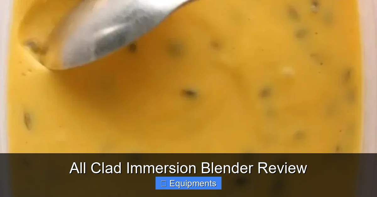 All Clad Immersion Blender Review