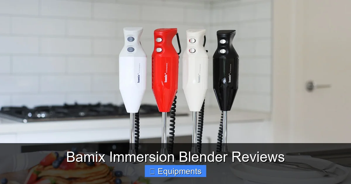 Bamix Immersion Blender Reviews