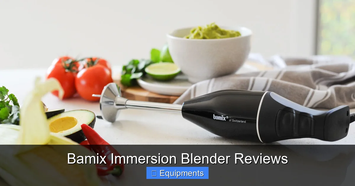 Bamix Immersion Blender Reviews