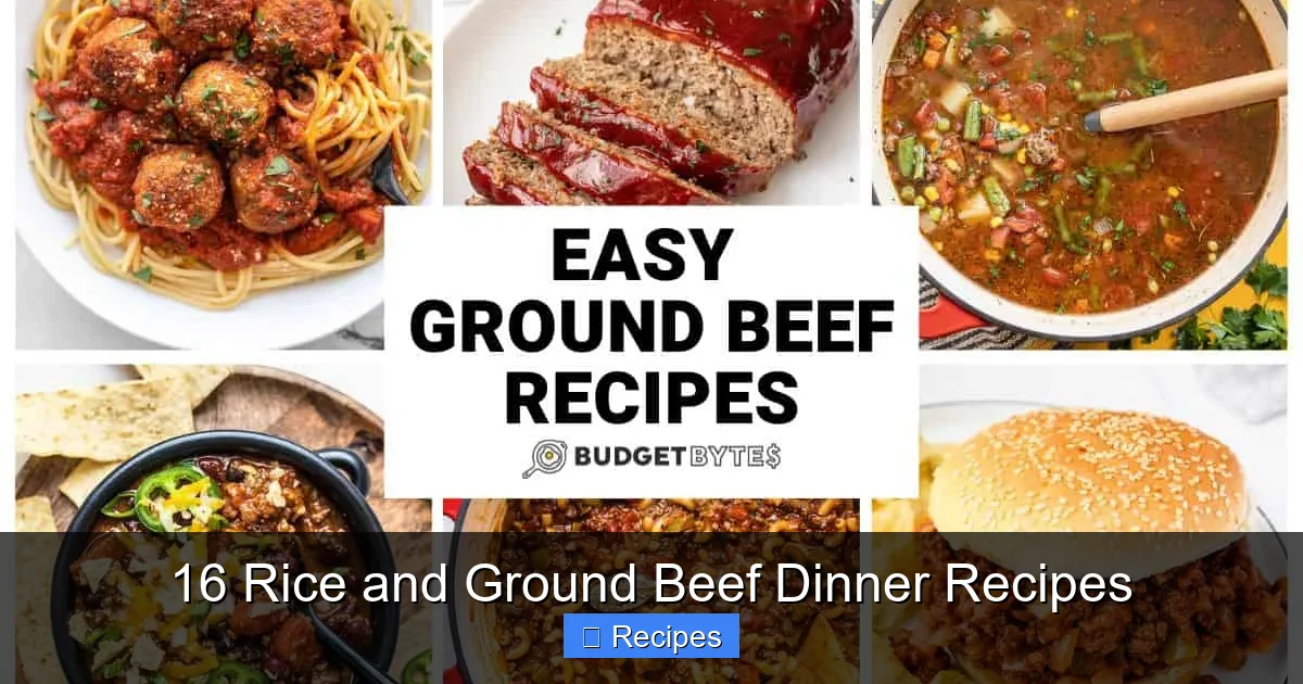 16 Rice and Ground Beef Dinner Recipes