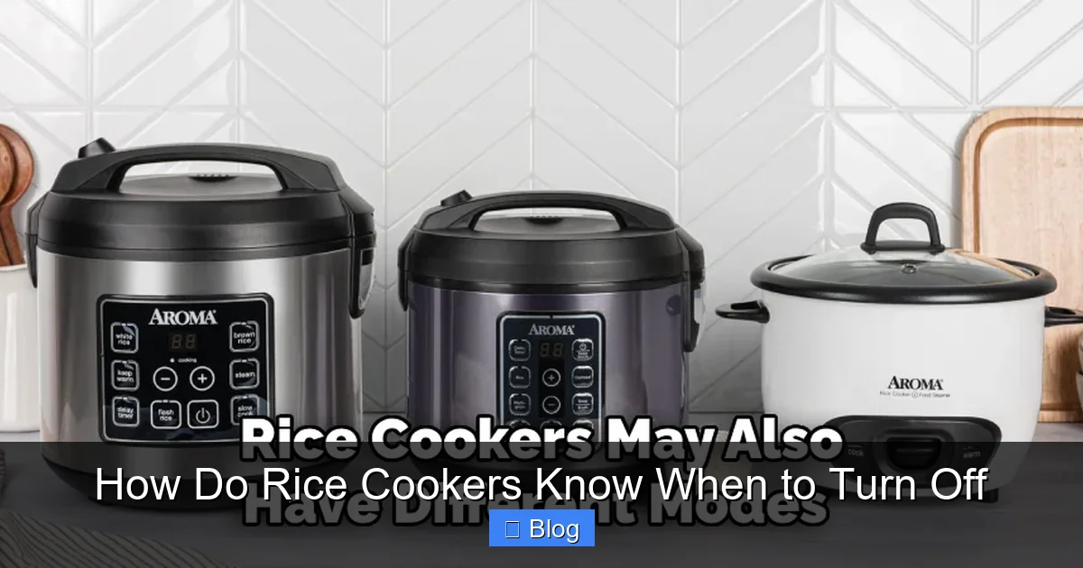 How Do Rice Cookers Know When to Turn Off