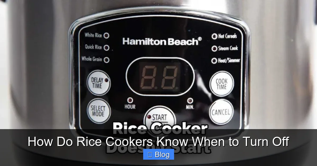 How Do Rice Cookers Know When to Turn Off