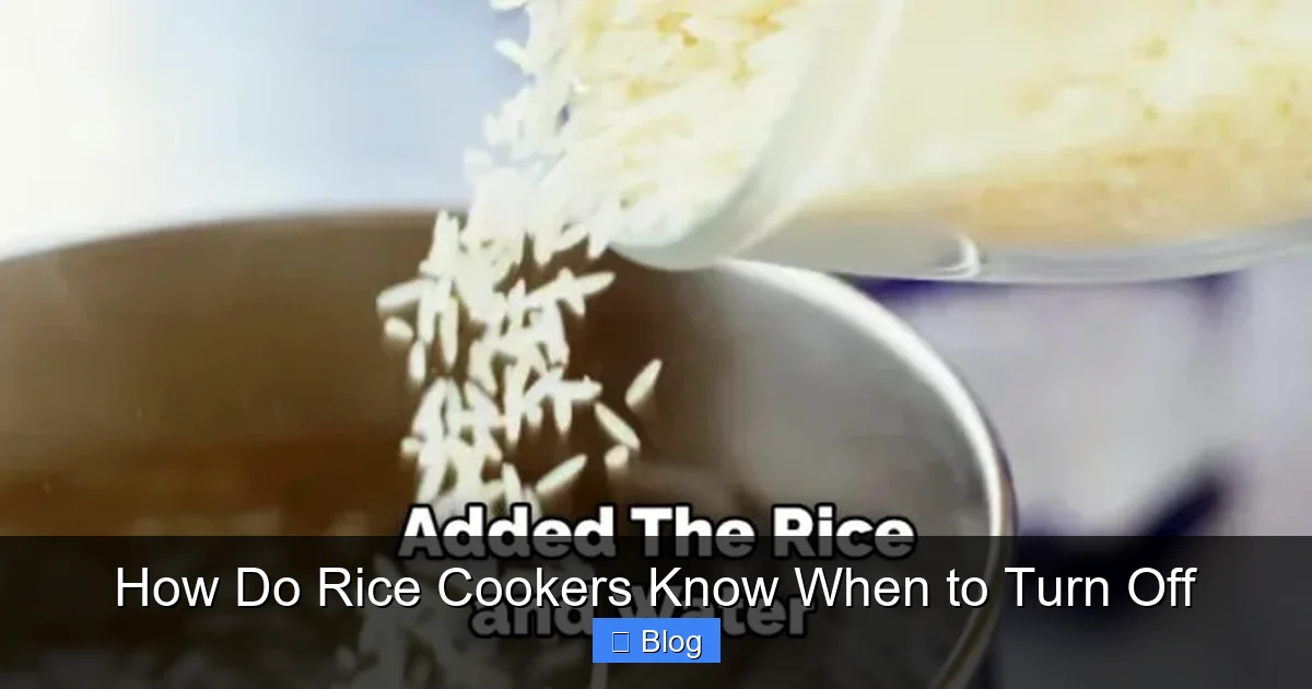 How Do Rice Cookers Know When to Turn Off