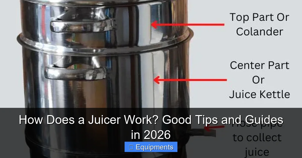 How Does a Juicer Work? Good Tips and Guides in 2026