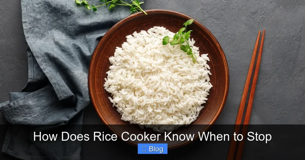 How Does Rice Cooker Know When to Stop
