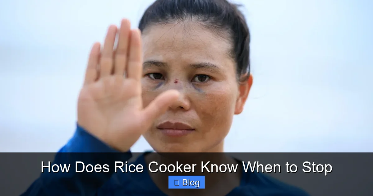 How Does Rice Cooker Know When to Stop