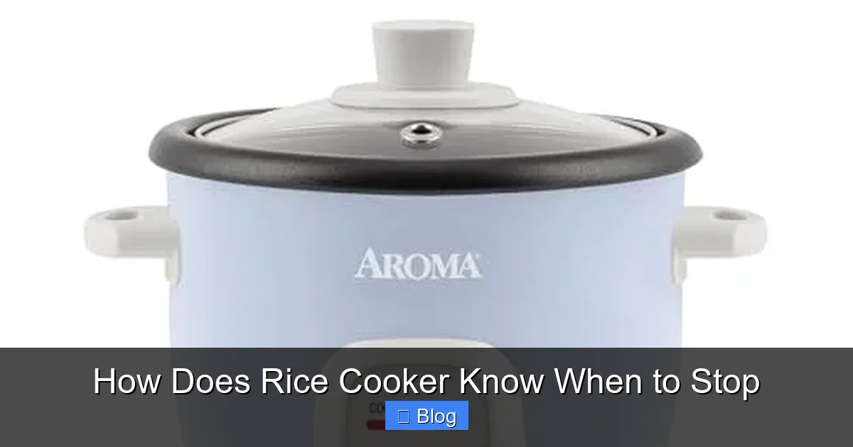 How Does Rice Cooker Know When to Stop