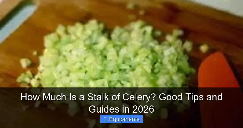 How Much Is a Stalk of Celery? Good Tips and Guides in 2026