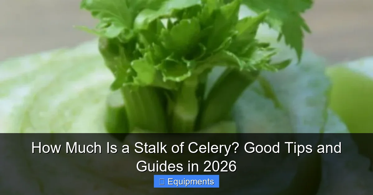 How Much Is a Stalk of Celery? Good Tips and Guides in 2026