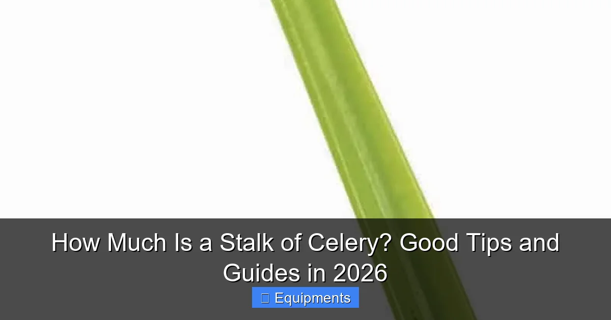 How Much Is a Stalk of Celery? Good Tips and Guides in 2026
