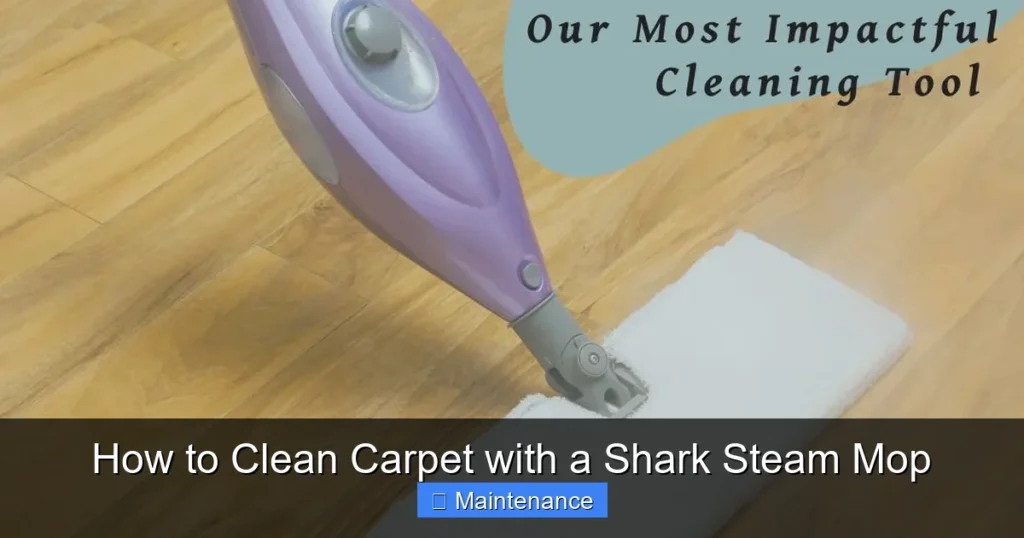 How to Clean Carpet with a Shark Steam Mop