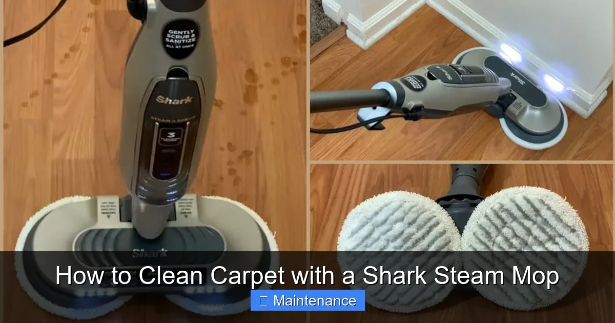 How to Clean Carpet with a Shark Steam Mop