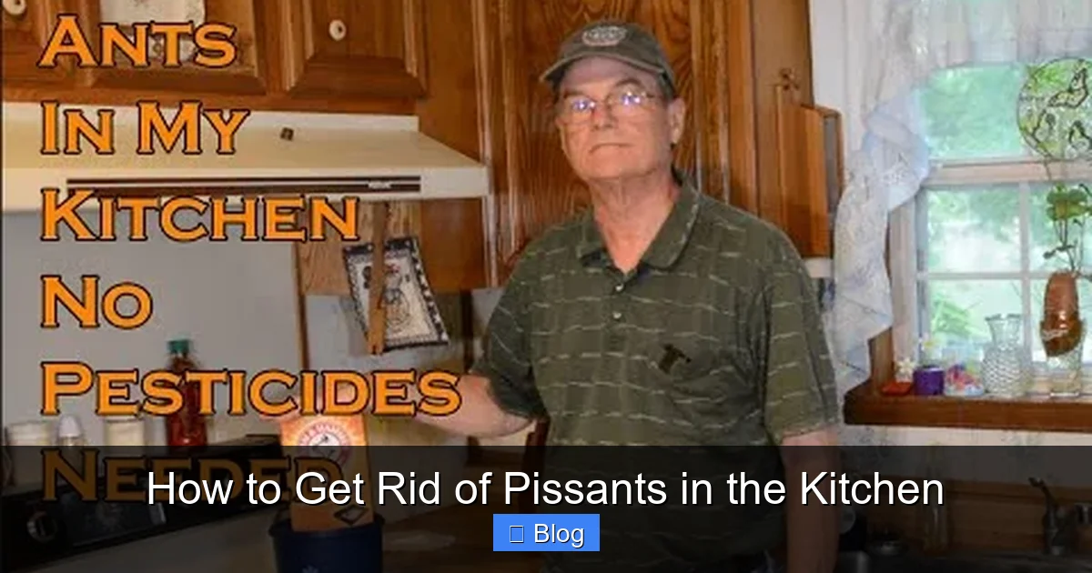 How to Get Rid of Pissants in the Kitchen
