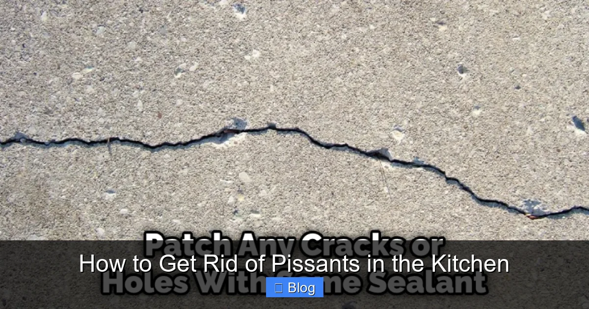 How to Get Rid of Pissants in the Kitchen