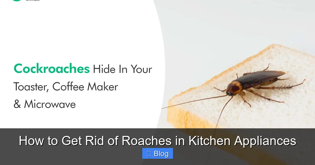 How to Get Rid of Roaches in Kitchen Appliances