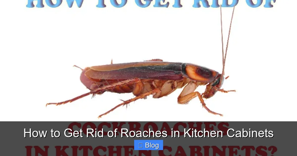 How to Get Rid of Roaches in Kitchen Cabinets