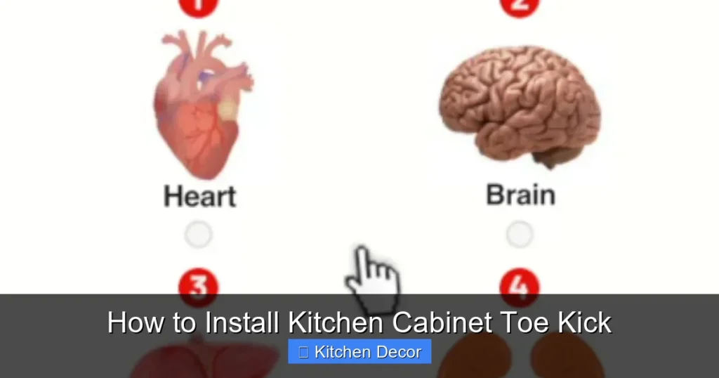 How to Install Kitchen Cabinet Toe Kick