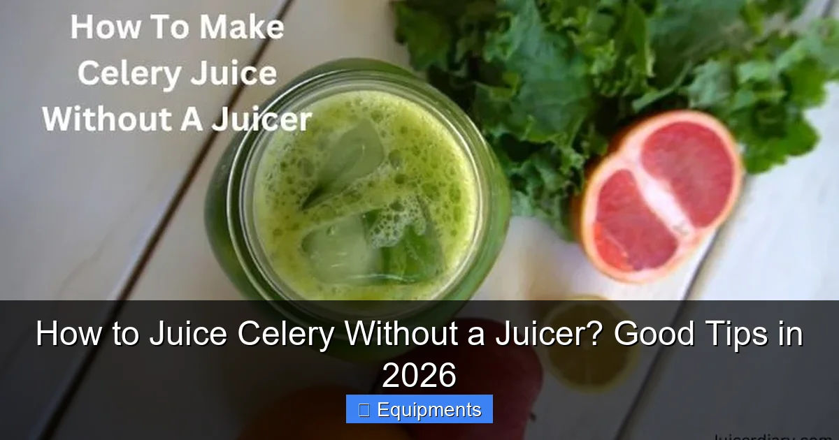How to Juice Celery Without a Juicer? Good Tips in 2026