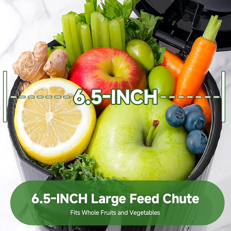 Cold Press Juicer 600W Max with 3-in-1 for Juice, Sorbet & Nut Milk, 6