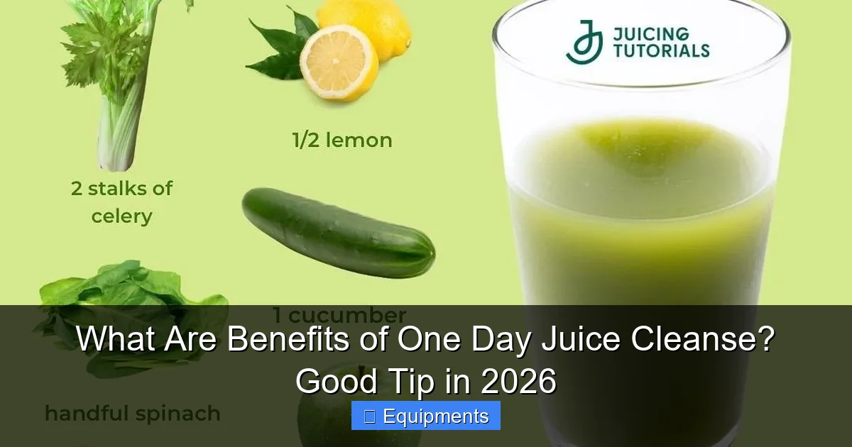 What Are Benefits of One Day Juice Cleanse? Good Tip in 2026