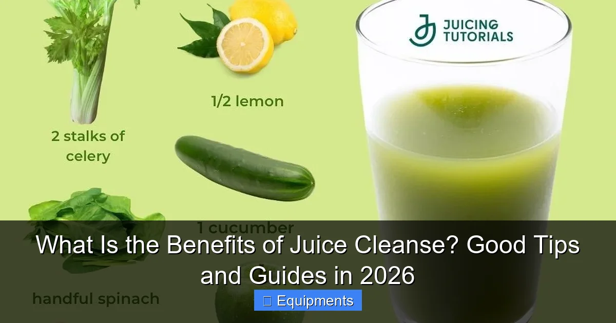 What Is the Benefits of Juice Cleanse? Good Tips and Guides in 2026