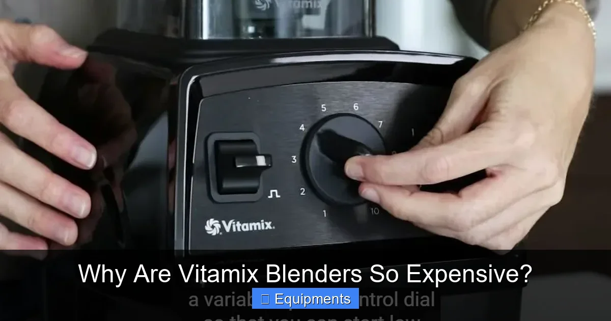 Why Are Vitamix Blenders So Expensive?