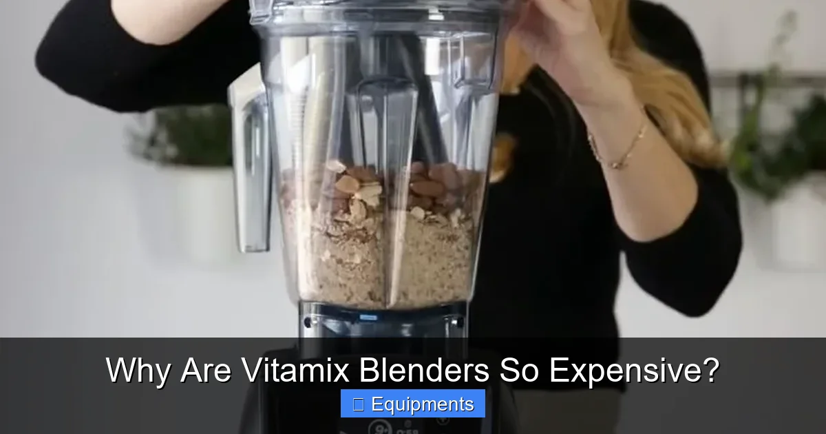 Why Are Vitamix Blenders So Expensive?