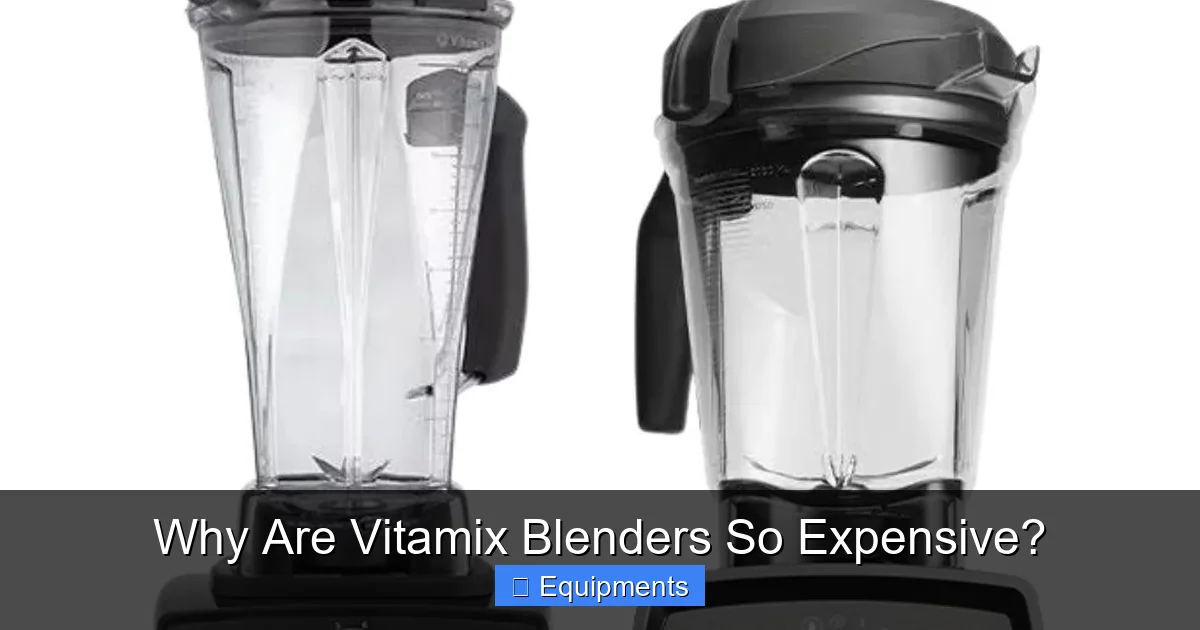 Why Are Vitamix Blenders So Expensive?