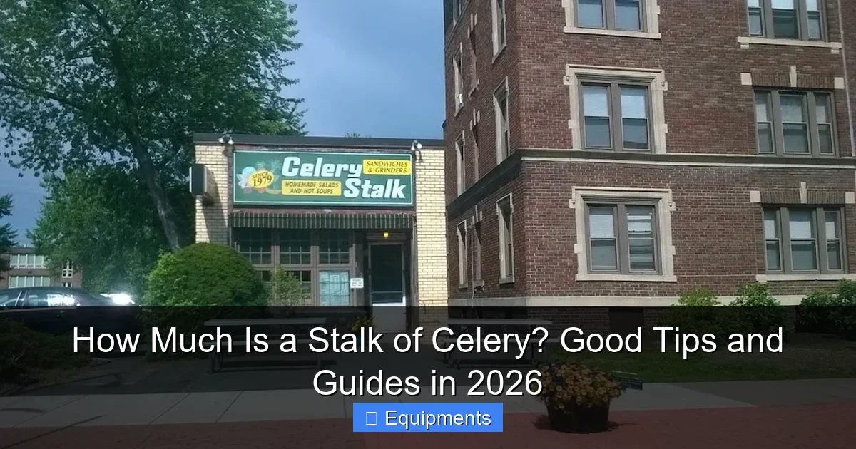 How Much Is a Stalk of Celery? Good Tips and Guides in 2026
