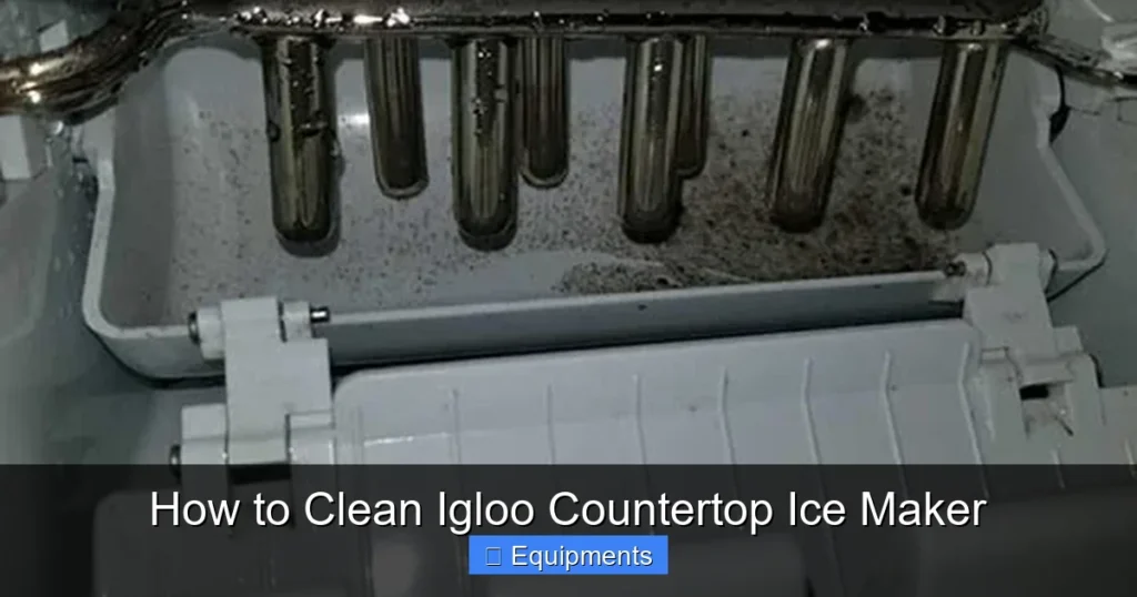 How to Clean Igloo Countertop Ice Maker