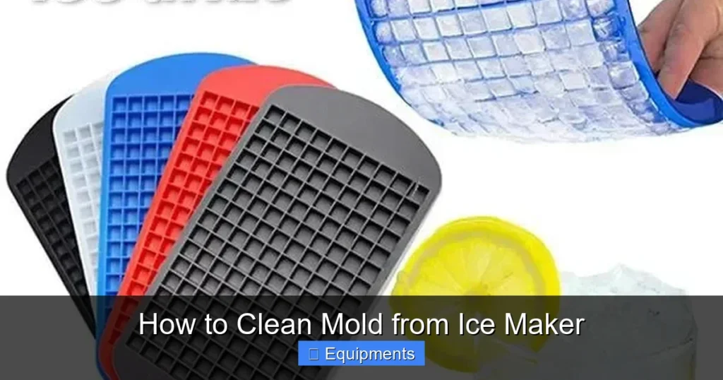 How to Clean Mold from Ice Maker