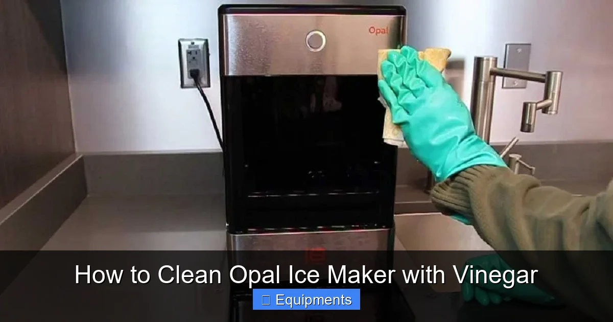 How to Clean Opal Ice Maker with Vinegar