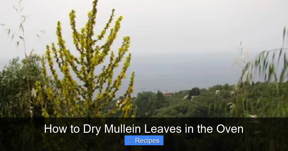 How to Dry Mullein Leaves in the Oven