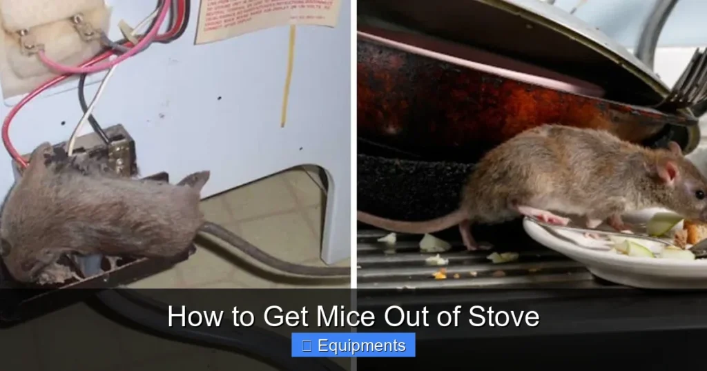 How to Get Mice Out of Stove