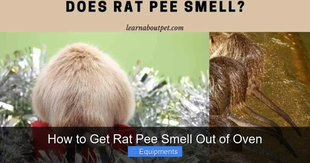 How to Get Rat Pee Smell Out of Oven