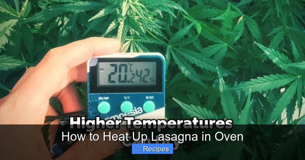 How to Heat Up Lasagna in Oven