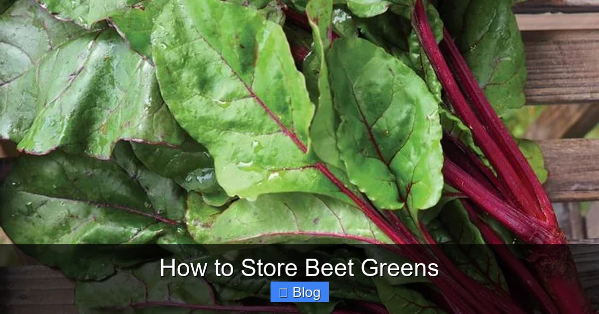 How to Store Beet Greens