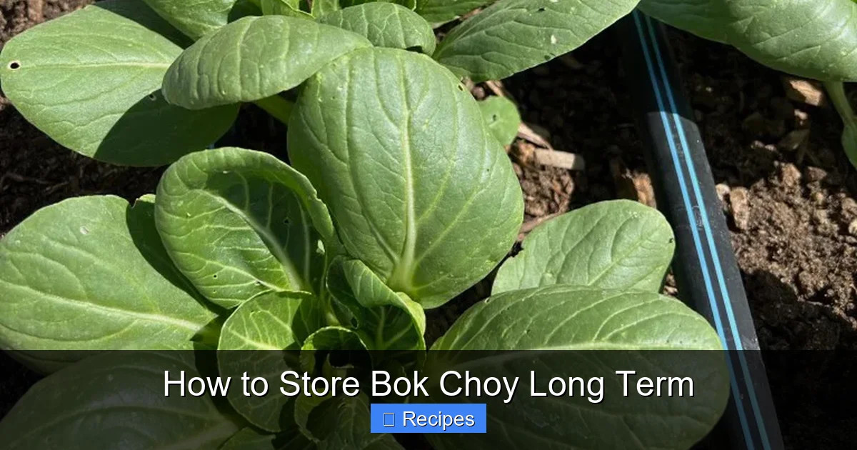 How to Store Bok Choy Long Term