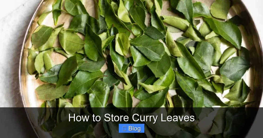 How to Store Curry Leaves
