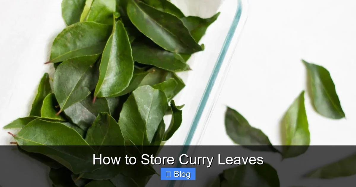 How to Store Curry Leaves