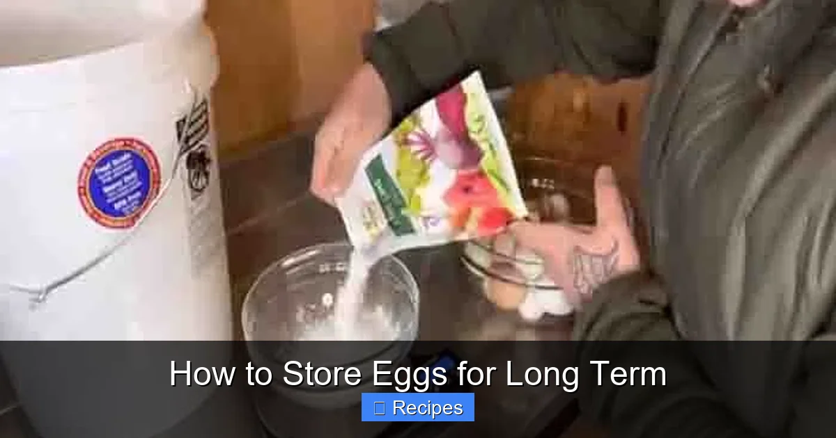 How to Store Eggs for Long Term
