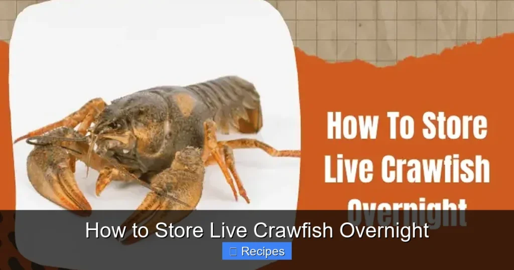 How to Store Live Crawfish Overnight
