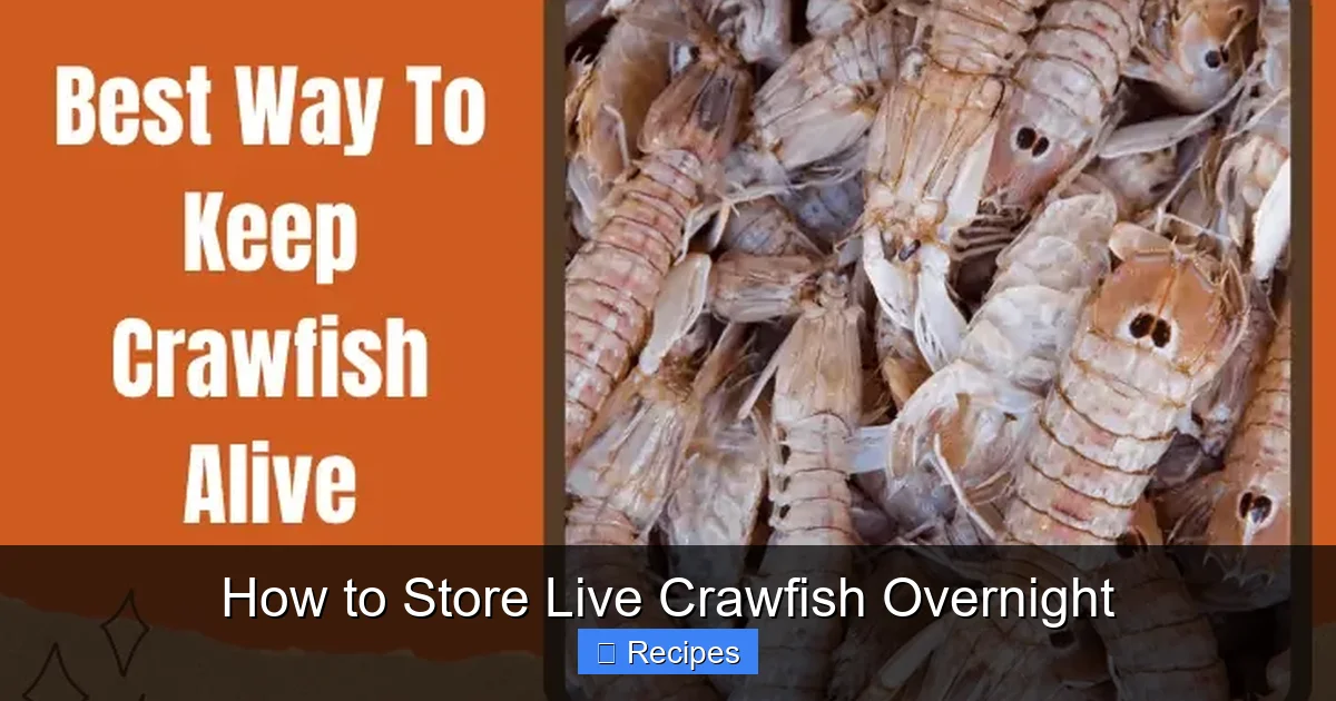 How to Store Live Crawfish Overnight
