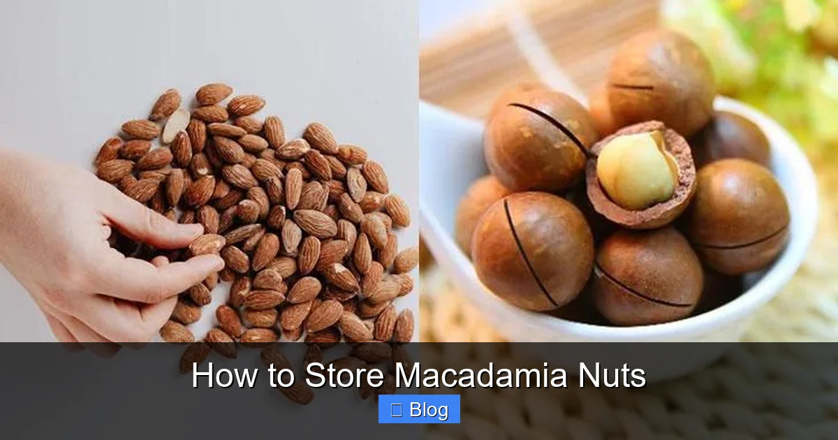 How to Store Macadamia Nuts