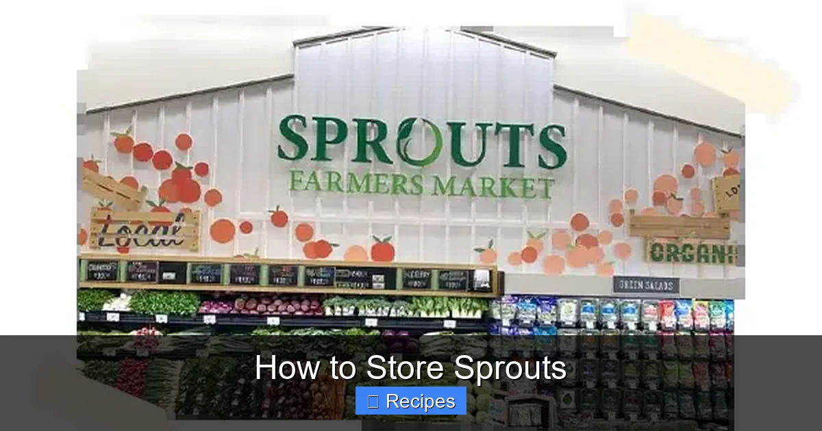 How to Store Sprouts
