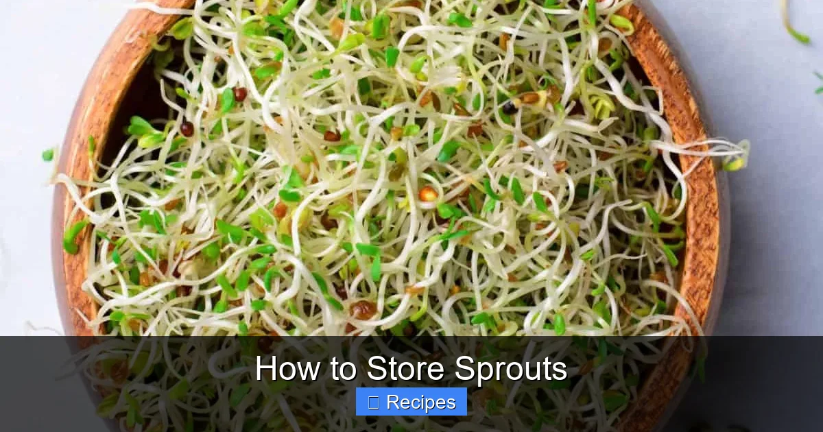 How to Store Sprouts