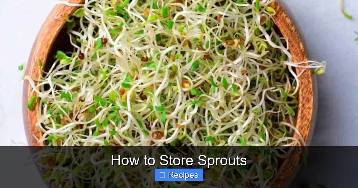 How to Store Sprouts