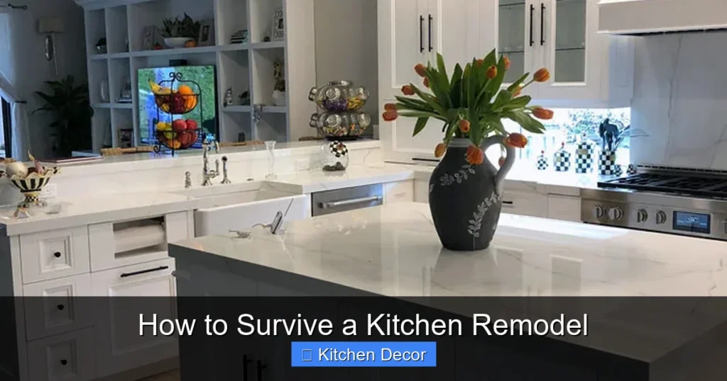 How to Survive a Kitchen Remodel
