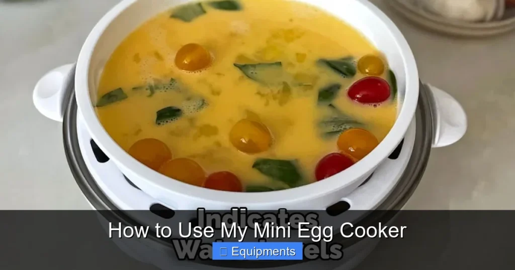How to Use My Mini Egg Cooker