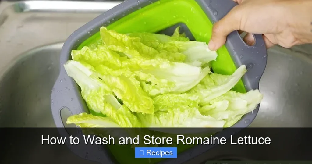 How to Wash and Store Romaine Lettuce